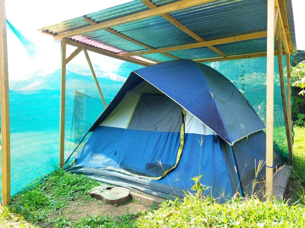 Rustico Arenal B&B La Fortuna Esterno foto