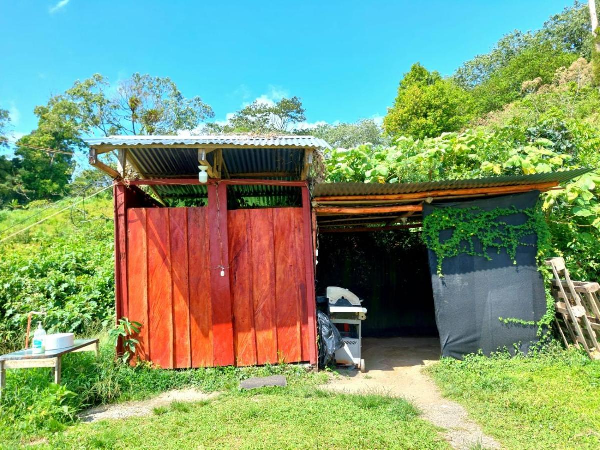 Rustico Arenal B&B La Fortuna Esterno foto