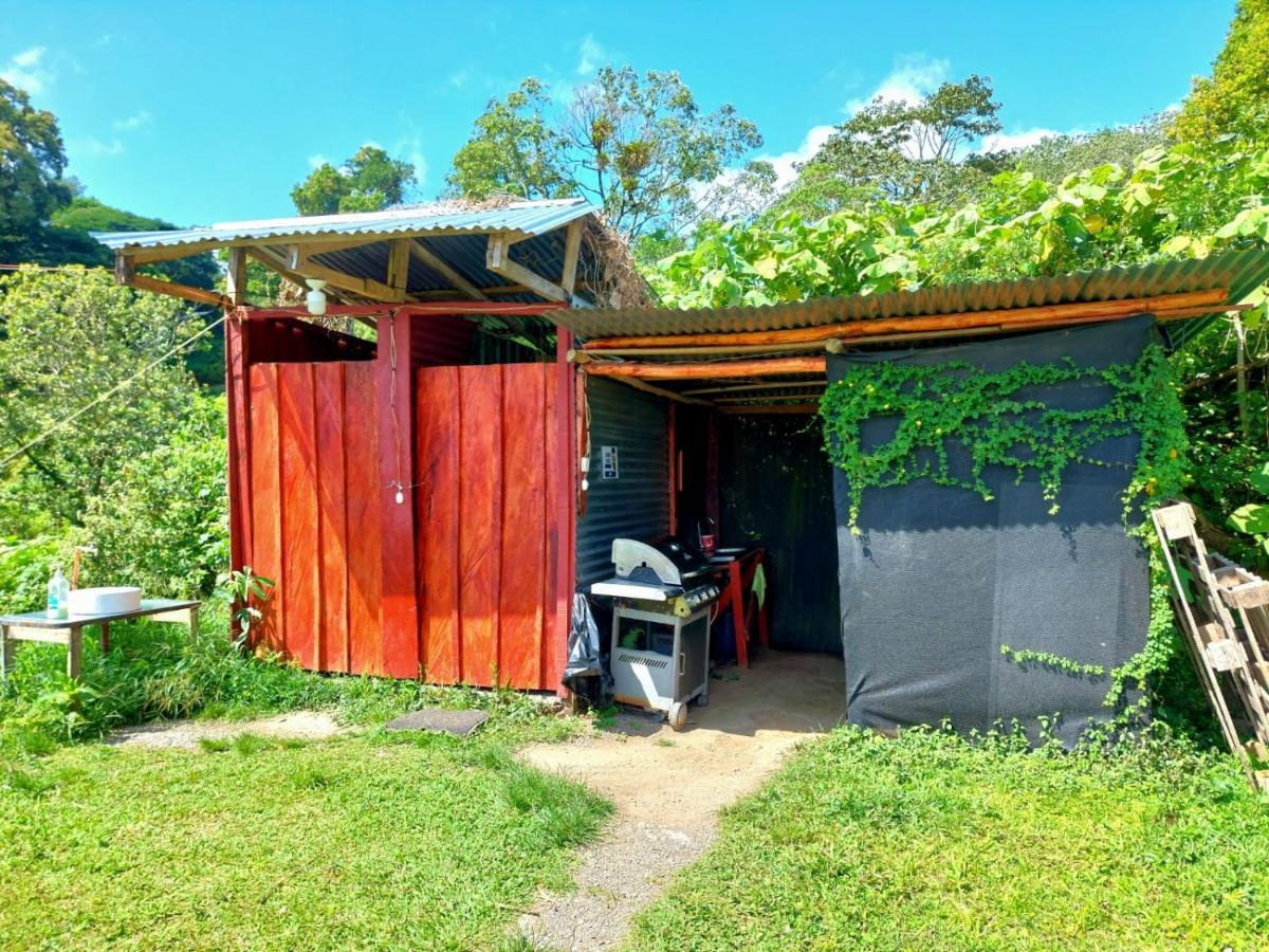 Rustico Arenal B&B La Fortuna Esterno foto